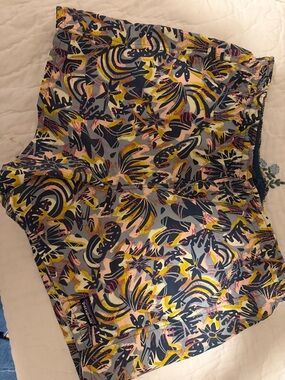 Patagonia Baggie Shorts NWT